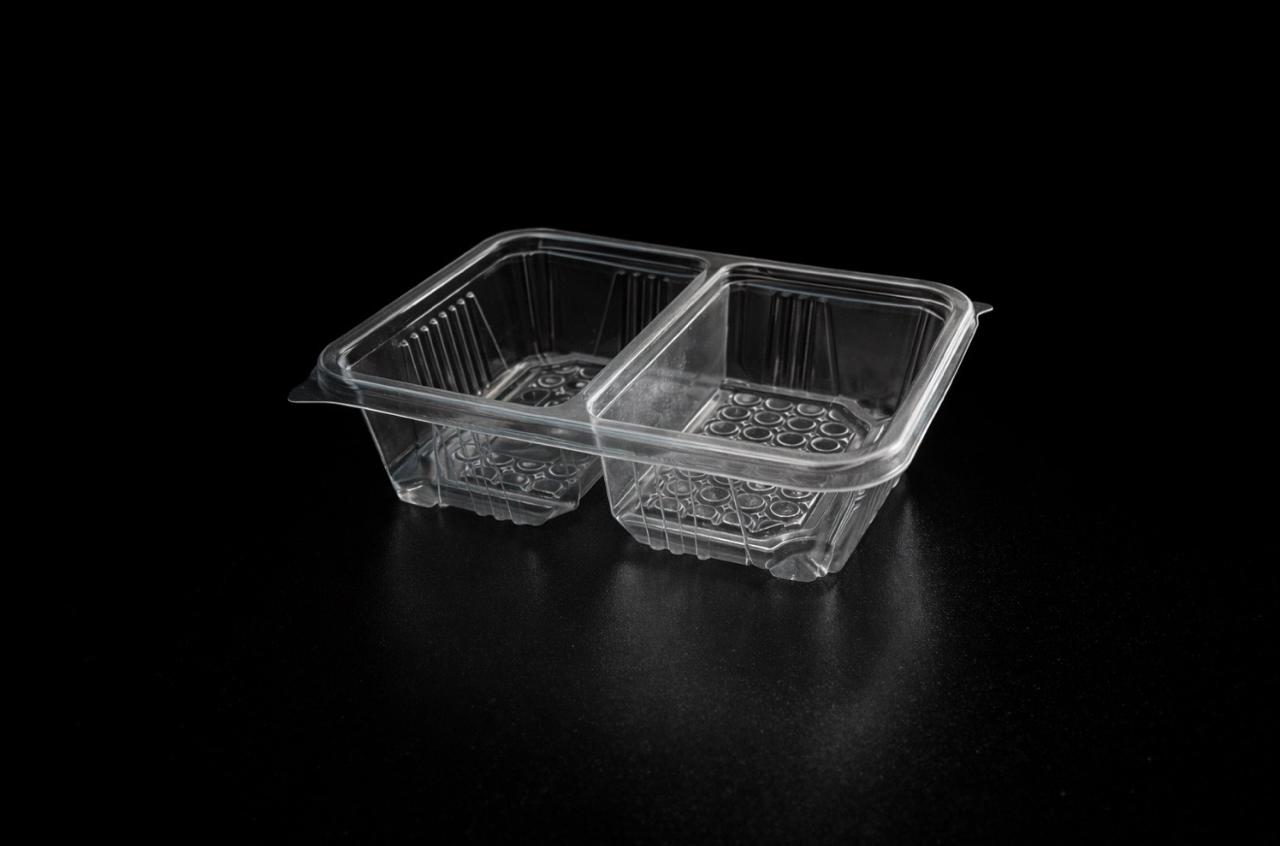  9743 Rectangular Compartment Container 