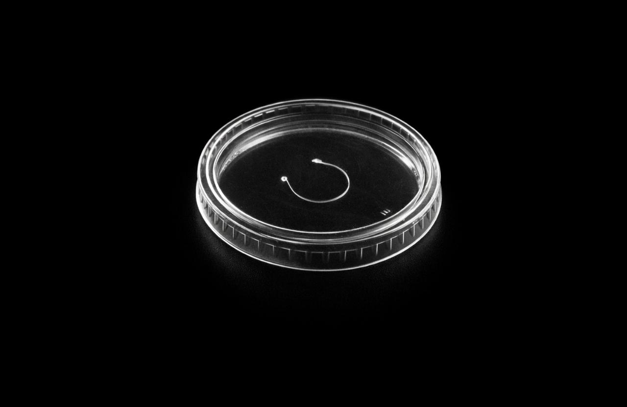 Punched Flat lid 