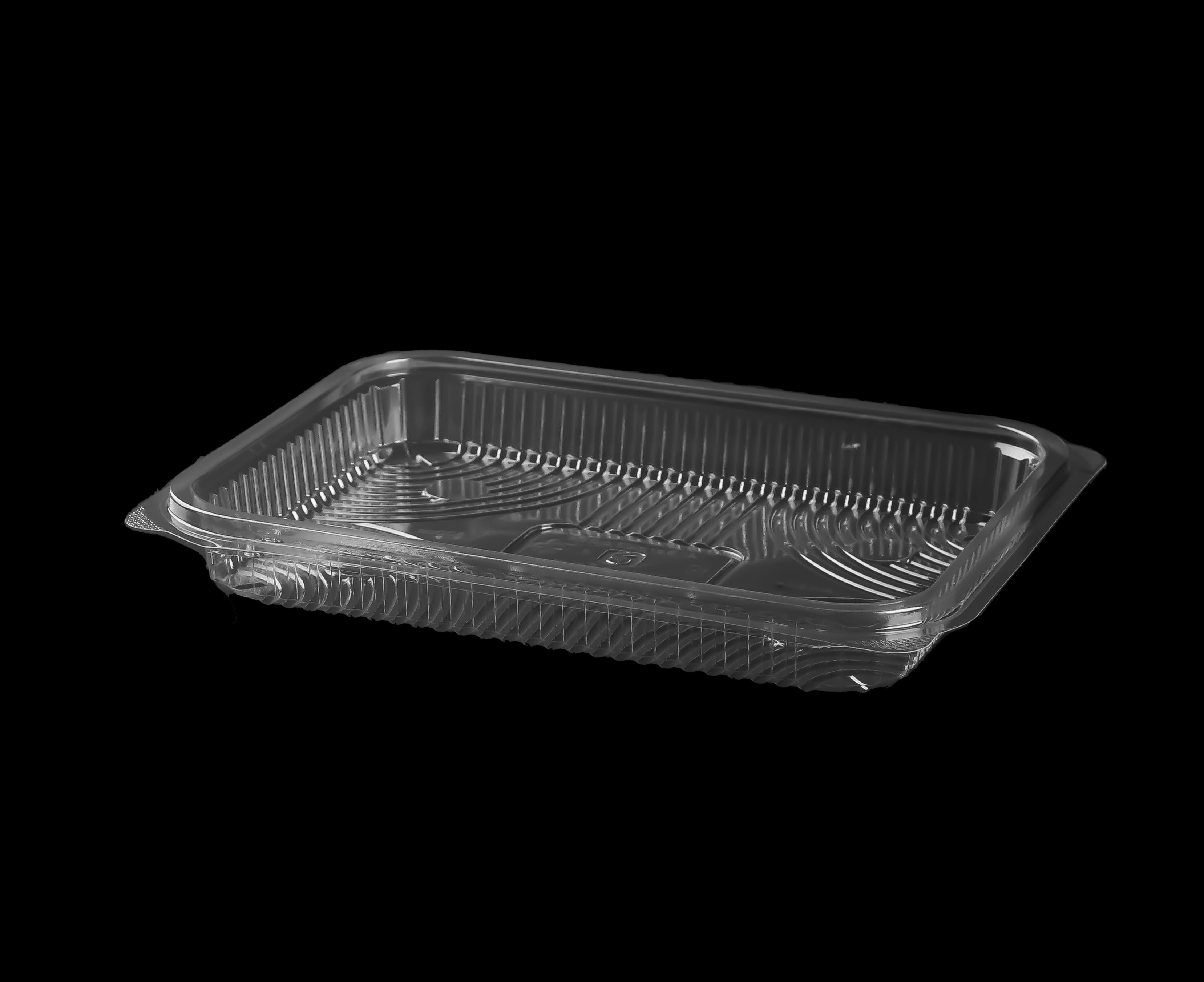 504 Large Rectangular Container Only