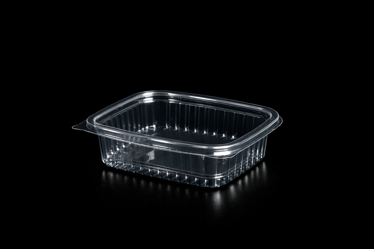 642 Hinged Lid Small Container (Flat) 