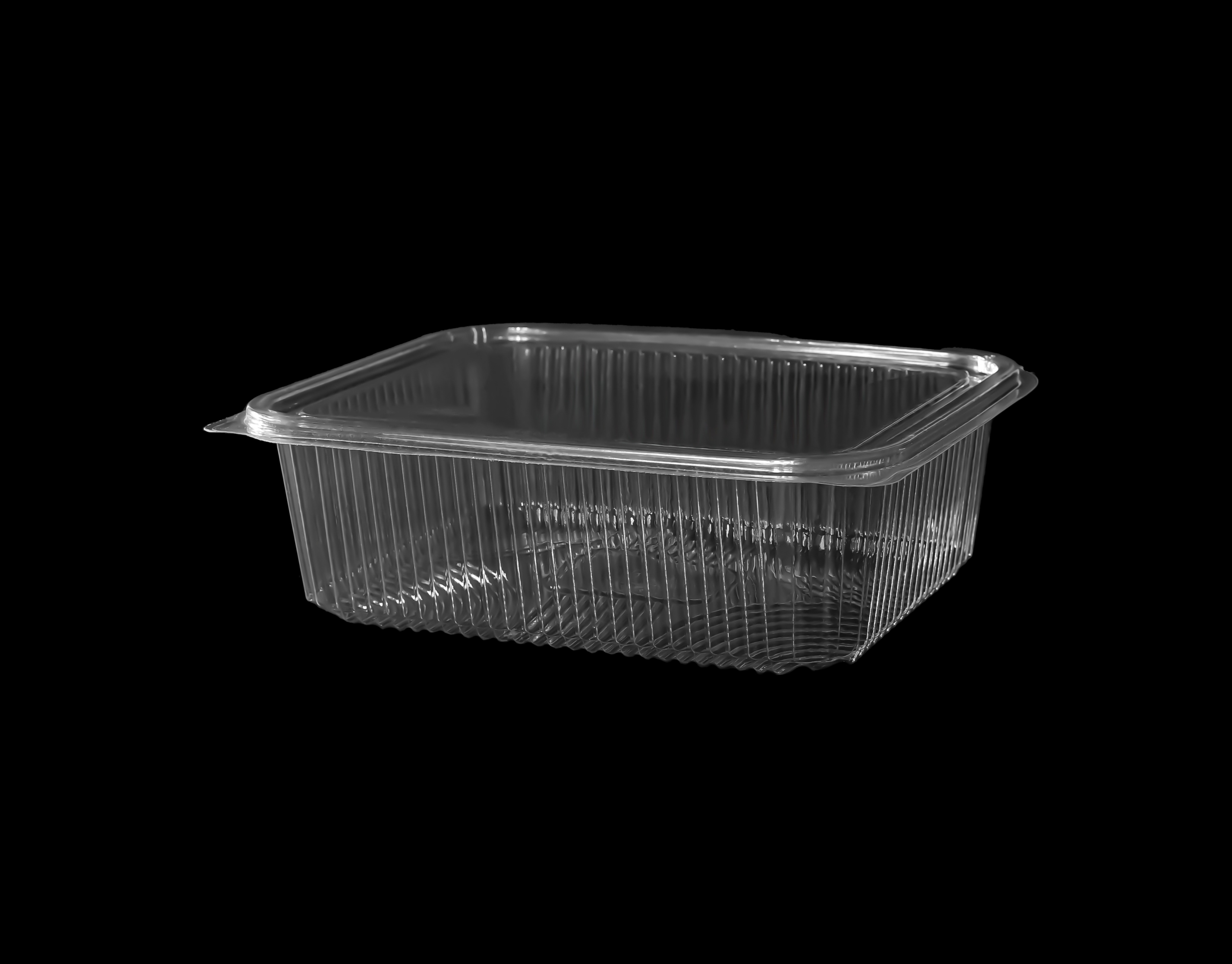 501 Hinged Lid Container