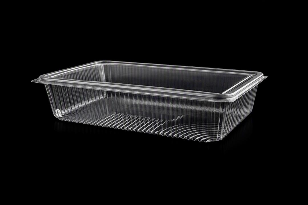 571 Large Hinged Lid Container (FLAT)