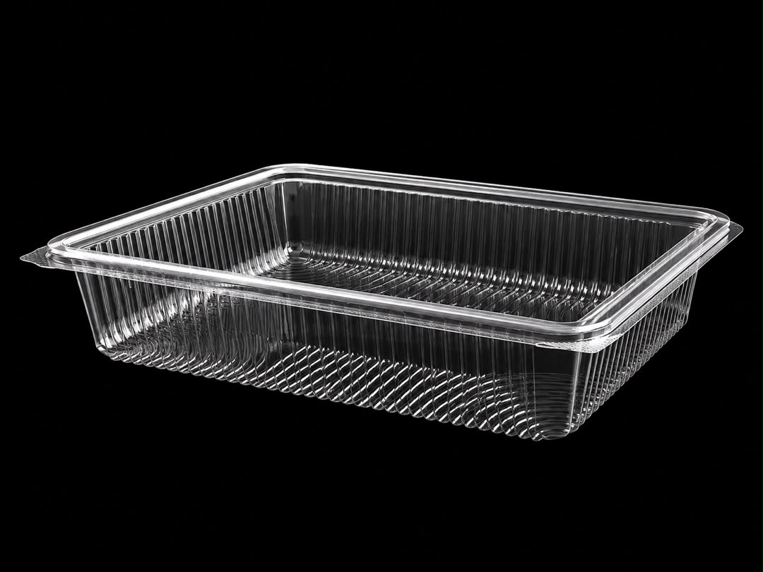 572 Large Hinged Lid Container (FLAT) 
