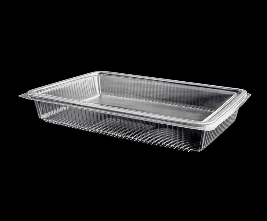 573 Large Hinged Lid Container (FLAT)